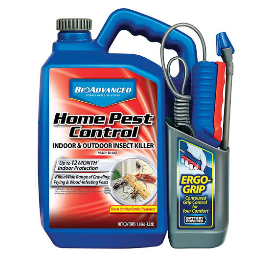 Indoor Insect & Pest Control